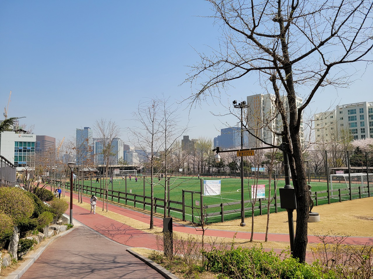 津吉斯招入 津吉斯招入