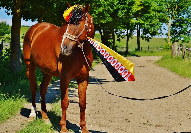 的受伤引发 的受伤引发