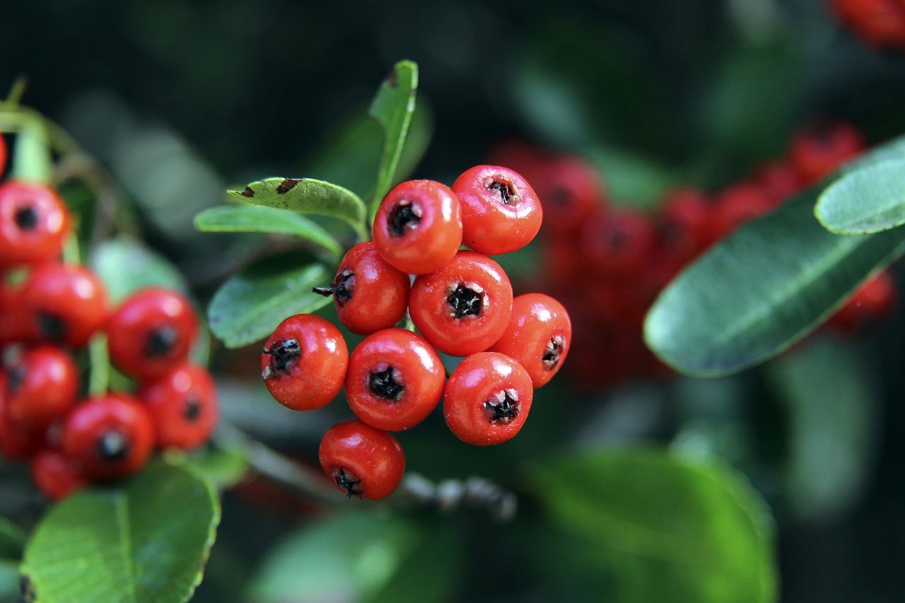 信息互联互 信息互联互