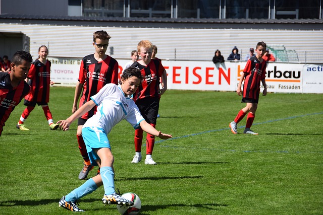 的关键部分 的关键部分